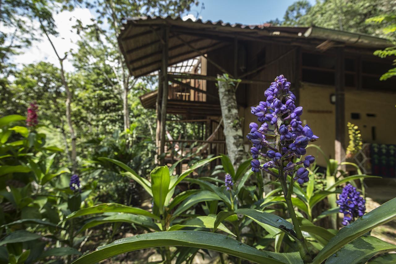 Chirapa Manta Amazon Lodge Lamas Exterior foto