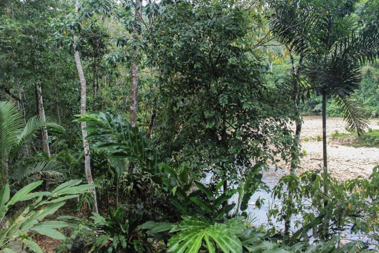 Chirapa Manta Amazon Lodge Lamas Exterior foto