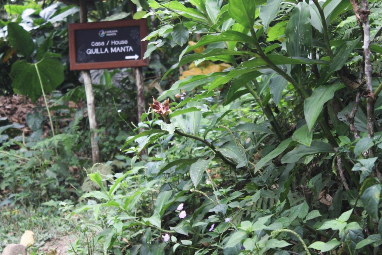 Chirapa Manta Amazon Lodge Lamas Exterior foto